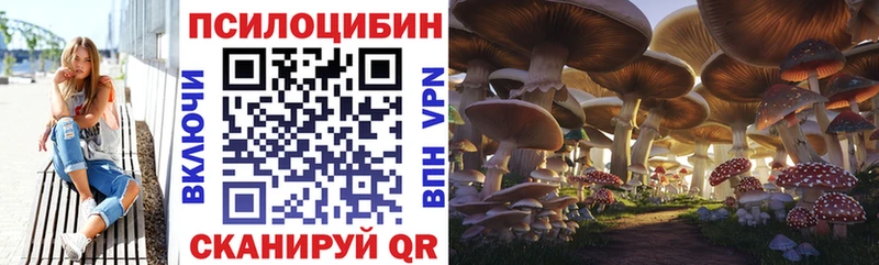 Галлюциногенные грибы прущие грибы  Купить где  Алагир 